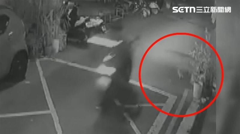 獨／外送員撞貓無遲疑騎走　痛苦掙扎亡