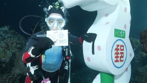 接連送走恩師愛犬　女星宣布潛入海底療傷