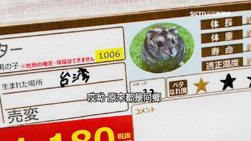 去日本寵物店有機會可以看到產地台灣