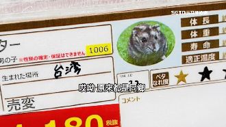 獨／不只晶片　台產鼠、蛇優質成另類外交