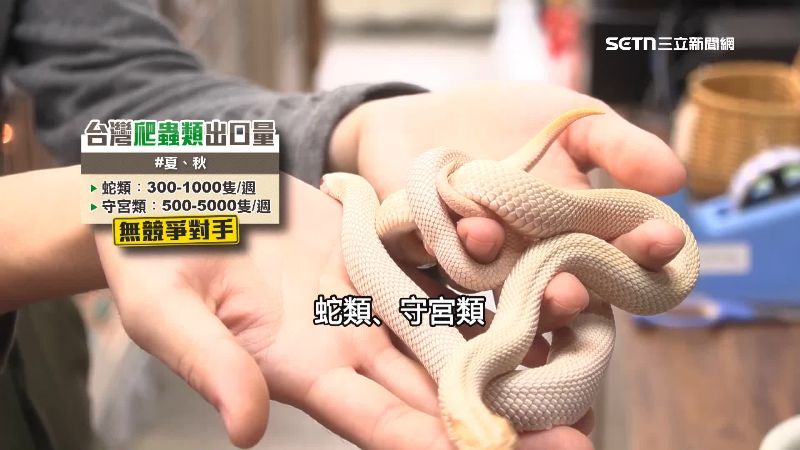 台灣爬蟲類在亞洲幾乎沒有競爭對手