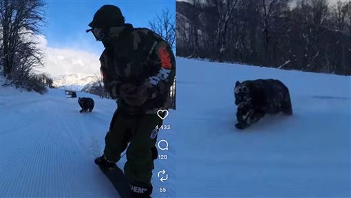 日本滑雪小心！選手在雪場遇黑熊埋伏攻擊