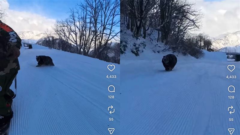 黑木誠在第一時間用自拍棒,記錄下差點被熊攻擊的驚險一幕,畫面相當震撼。(圖/翻攝自黑木誠IG)