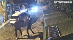 新北,樹林,香水達人,虐殺女友,火藥辣椒槍,家暴。（圖／翻攝畫面）