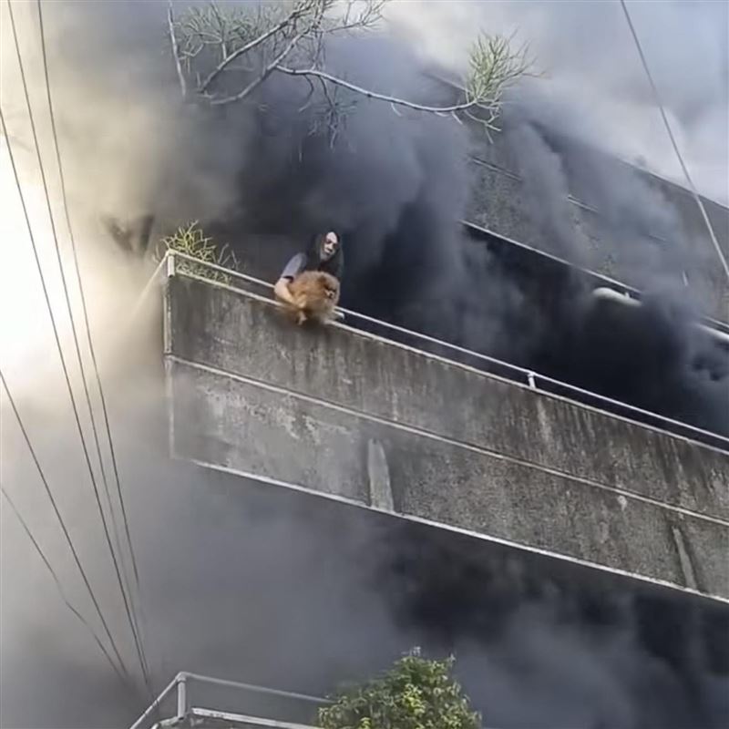 菲律賓一名女子在大火中先救兩隻毛小孩。（圖／翻攝自ｘ平台帳號@Dalbodog）