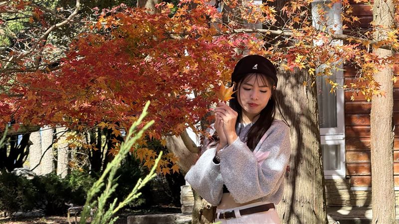 福壽山農場松廬的楓葉陸續轉紅,有不少遊客到此欣賞楓葉美景。(圖/旅宿業者提供)