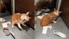 （圖／翻攝自Threads）