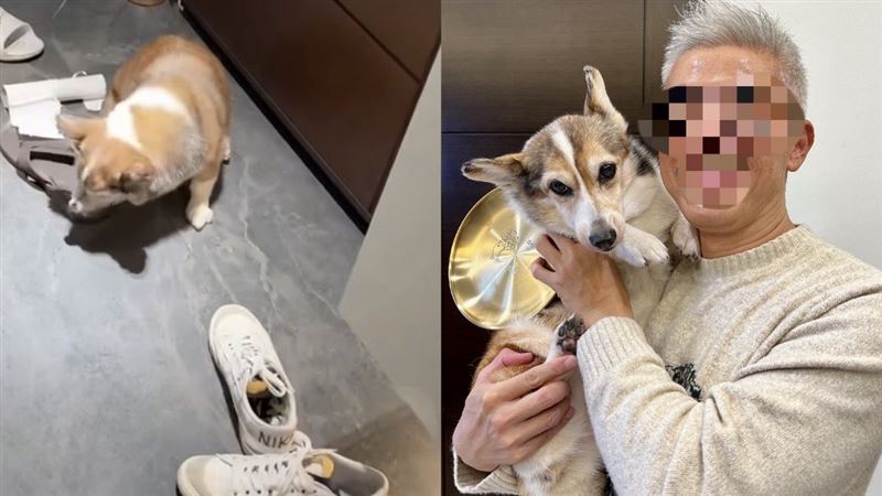 正面照曝!虐狗老闆獲模範飼主…形象全崩