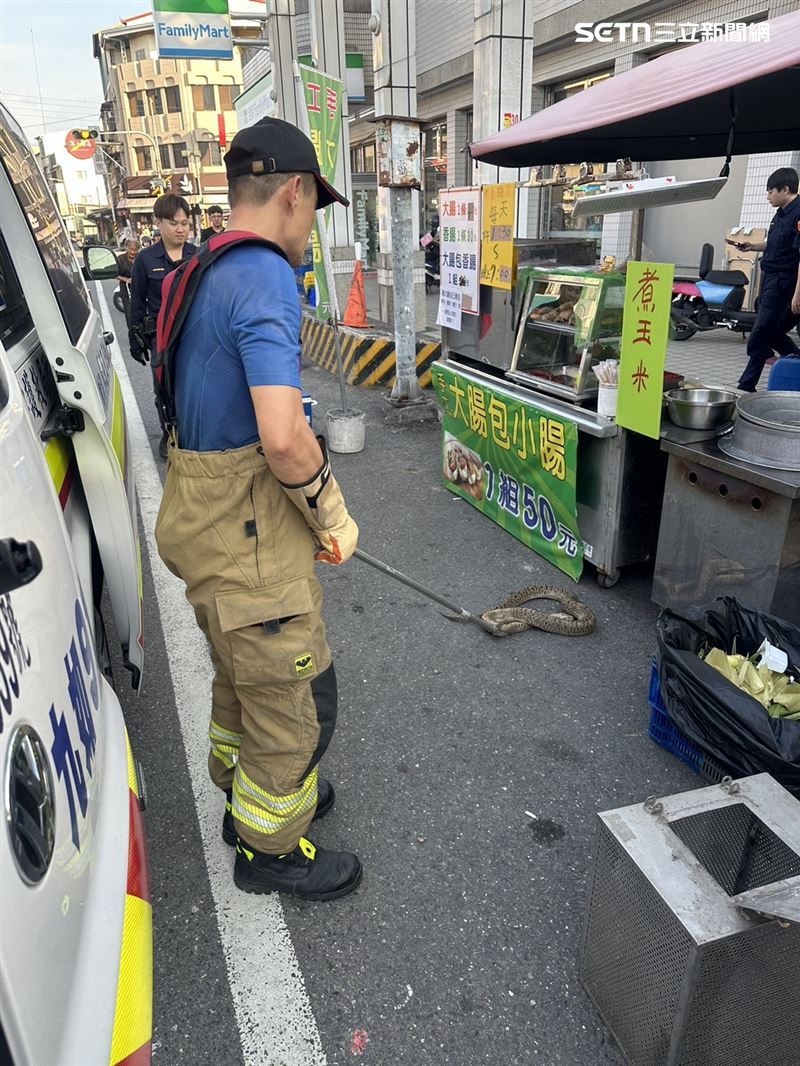 據悉，林男9月已被蛇咬傷就醫一次，如今再被寵物蛇鎖喉，消防將球蟒妥善收容，但「窒息的愛」最後還是被家屬領回。（圖／翻攝畫面）