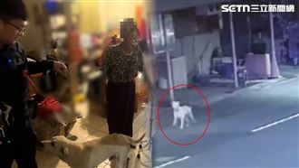 沒白養…嬤找嘸路「靈性小白引路」畫面曝