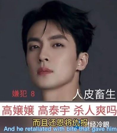 高泰宇欠錢不還還恩將仇報。（圖／翻攝自冷眼財經TikTok）