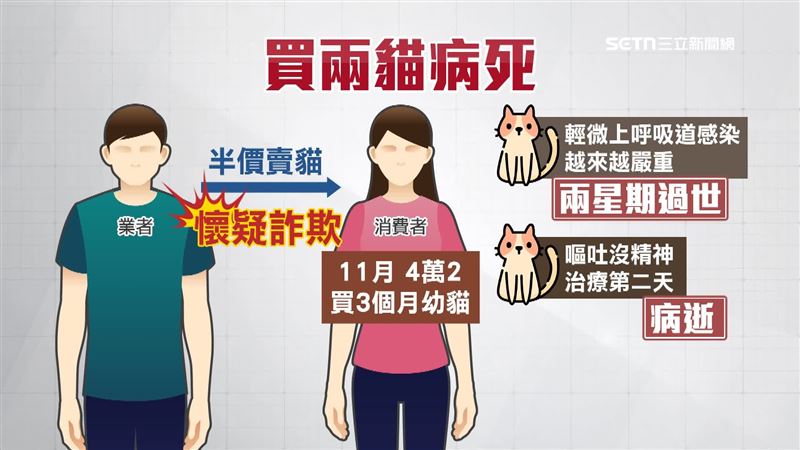 消費者從該間貓舍買的2隻貓都相繼過世，質疑店家沒有告知貓咪健康狀態，讓消費者無法接受、懷疑詐欺