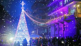 文化大學百花池點亮15米巨型聖誕樹　師生共享冬夜最浪漫盛事（業配勿用）