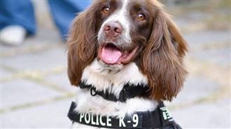 GPS定位也難逃！緝毒犬 揪出毒販埋包自取