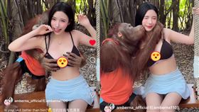 藍星蕾和猩猩合照時被襲胸、強吻，讓她超害羞，臉上也微微露出尷尬表情。（圖／翻攝自藍星蕾IG）