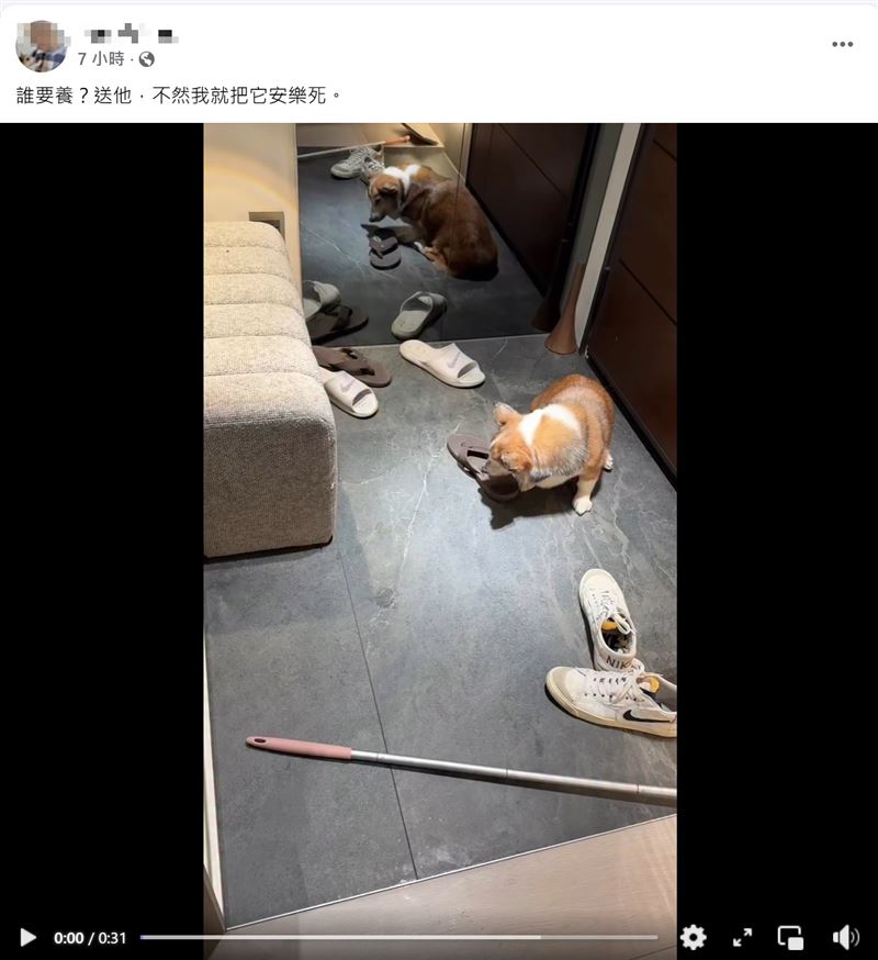 虐失智柯基的手搖飲老闆發文：「誰要？送他，不然就安樂死」，引起公憤。（圖／翻攝當事人臉書）