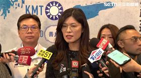 鄭麗文受訪轟賴清德廉價、輕挑、矯情（圖／翻攝畫面）