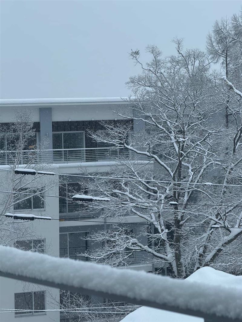 人在日本的K小姐,近日剛好從沖繩到札幌,兩地氣候落差50度以上。(圖/K小姐提供)