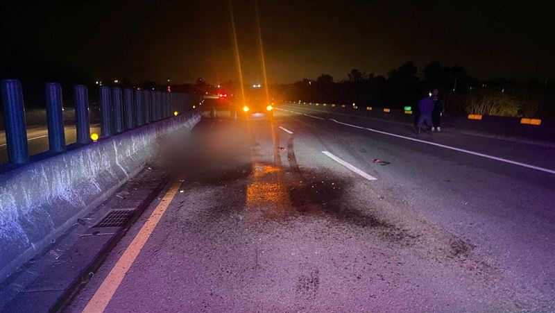 台61後龍路段13日下午發生自小客將活馬撞死的罕見車禍。（圖／翻攝記者爆料網）