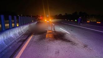 詭異！自小客台61撞上活馬...當場亡