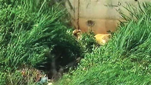 重案／借30萬不成　狠媳砍婆婆斷頭棄屍