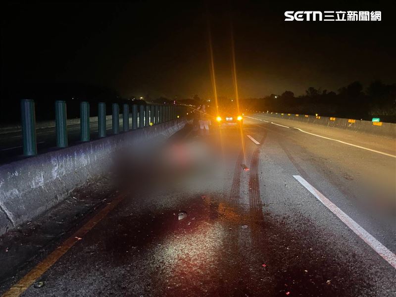 台61線苗栗後龍鎮路段發生馬匹亂入車禍,1匹馬遭撞擊當場死亡。(圖/翻攝畫面)