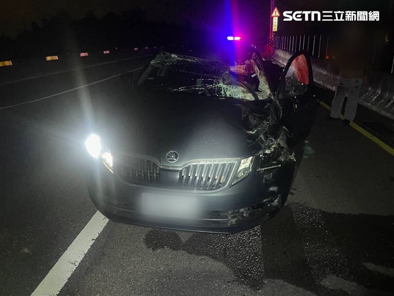 台61線苗栗後龍鎮路段發生馬匹亂入車禍,1匹馬遭撞擊當場死亡。(圖/翻攝畫面)