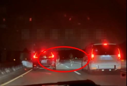 2匹馬在台61快速道上追逐奔跑,嚴重影響通行安全。(圖/翻攝黑色豪門企業)