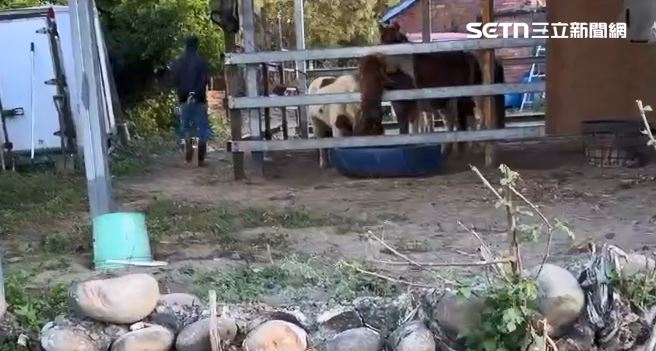 對於農場內的馬匹二度偷跑,又引發車禍事故,李姓飼主只表示馬已經死了。(圖/翻攝畫面)