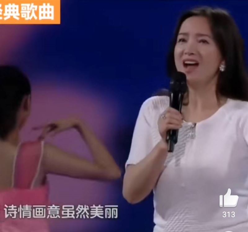 何晴最後一次露面,是在2014年登上央視節目。(圖/翻攝自微博)