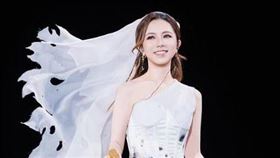 鄧紫棋世界巡迴演唱會有台北場。（圖／翻攝自鄧紫棋IG）