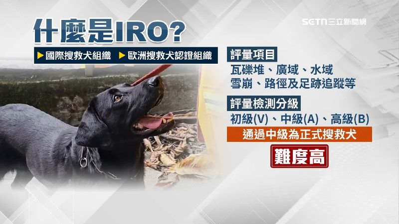 台灣每年都會舉辦搜救犬國際評量