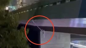 巴西,高架橋,高空彈跳,繩索,反彈,橋樑,頭受創（圖／翻攝自X平台 @RomaNewsOficial）