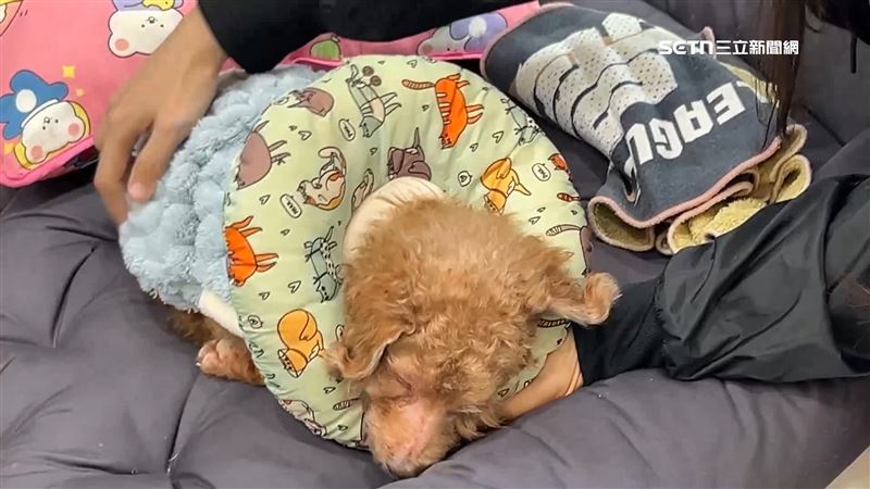 頸枕、安撫被全都帶來