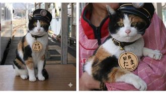 和歌山二代貓站長辭世　500人淚別天使