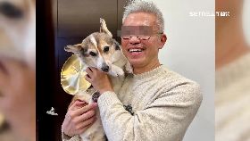 p虐狗男道歉0930