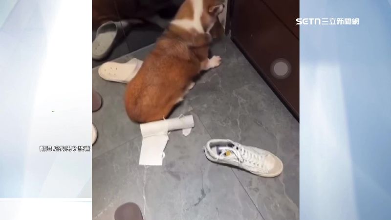 男子表示,對於自身一時不當的教導方式已深刻反省