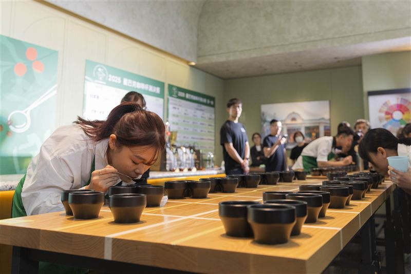 杯測比賽採用國際常見的「三角杯測」形式進行(圖/品牌業者提供)