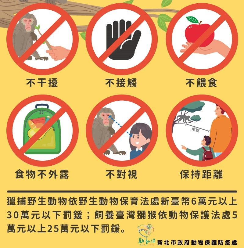 獼猴出沒應注意原則及要點。(圖/新北動保處)