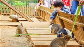 圖／埔心牧場提供