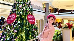 白嘉莉近來開畫展。（圖／本人提供） 