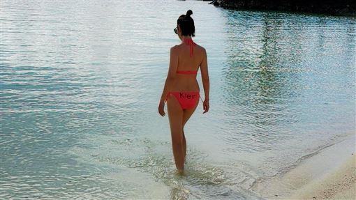 潘慧如帛琉與鯊魚共遊　驚人旅費曝光