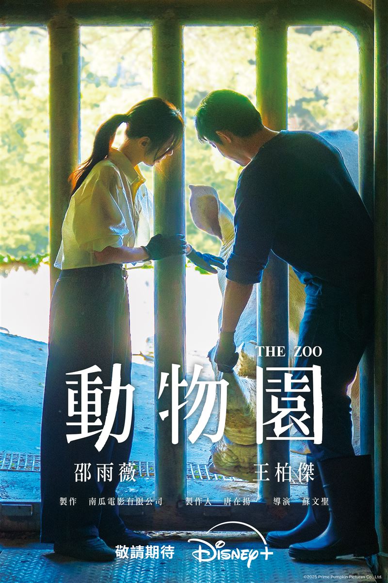 全新動物職人劇《動物園》備受矚目。(圖/Disney+提供)