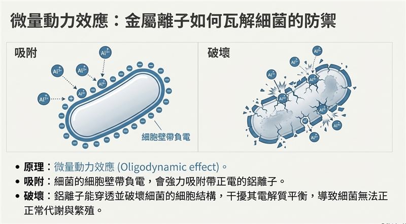 許多人誤以為水槽的黏液單純是油脂，事實上它的核心是細菌代謝產生的「生物膜(Biofilm)」。黃君老師製圖。（圖／Good全名師教學團隊執行長顧全提供）