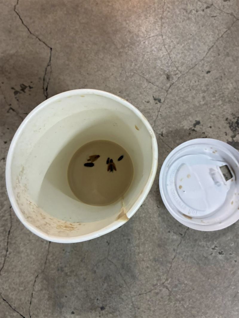 謝麗金貼出自己喝下蟑螂的照片。(圖/翻攝自臉書)