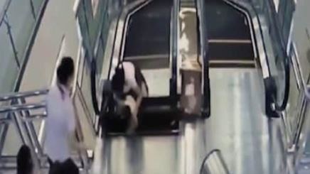 電扶梯「第2塊板子」不能踩?專家曝真相