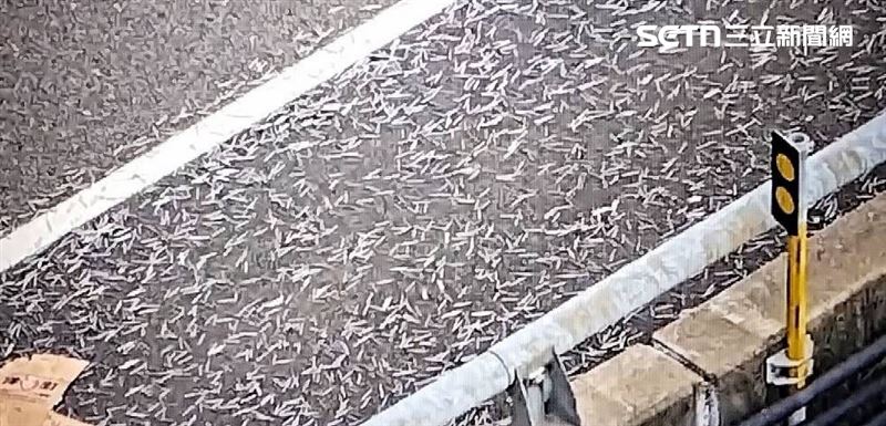 國1北上彰化系統交流道慘變「鐵釘障礙賽」,至少6車中釘受害。(圖/翻攝畫面)