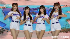 獨／第2次應援WBC　瑟七：前1次讓我發光