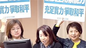 民進黨委員高舉，「強化民主防禦能力，充足實力爭取和平」。（圖／翻攝自羅美玲臉書）