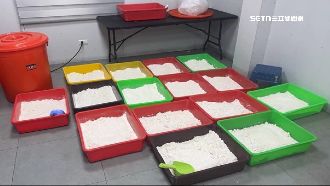 自學「感冒藥煉毒」　2男假扮上班族遭逮